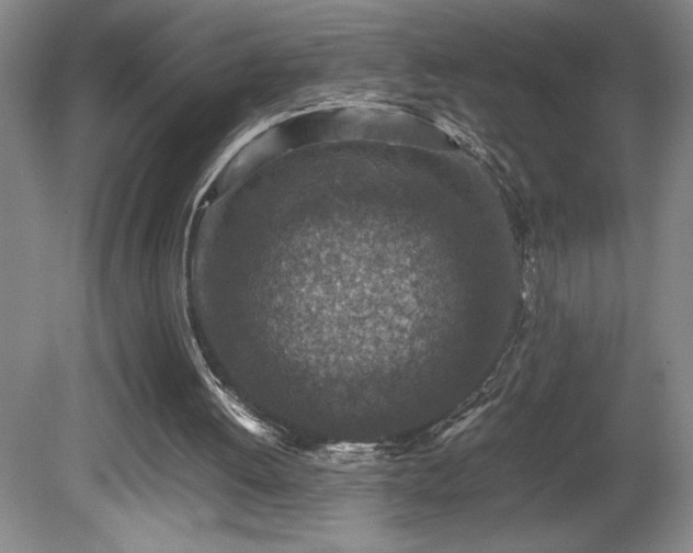 X0000081410052200701191540