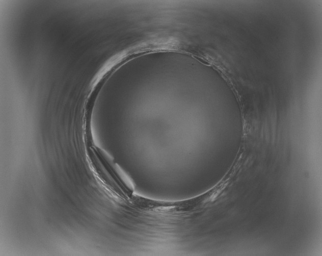 X0000081410054200701191540