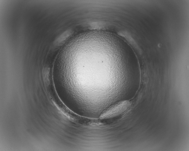 X0000081410066200701191541