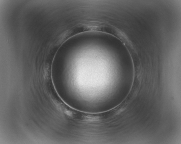 X0000081410073200701191541
