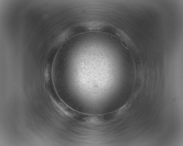 X0000081410074200701191541