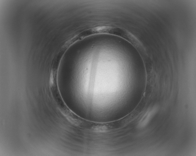 X0000081410075200701191541