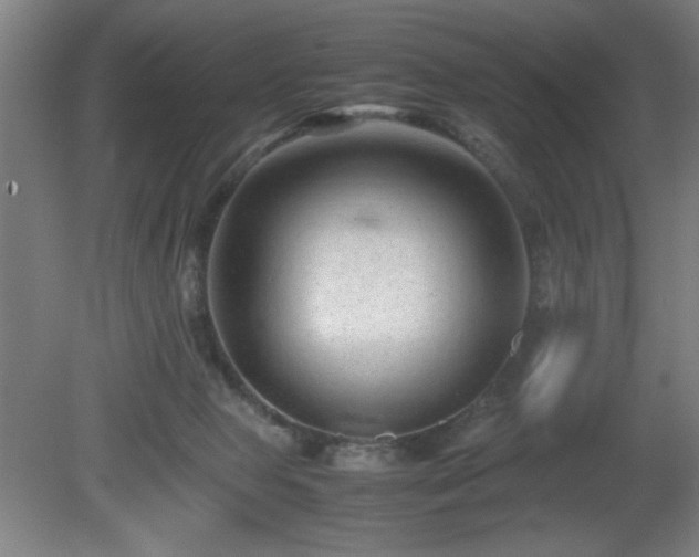 X0000081410077200701191541