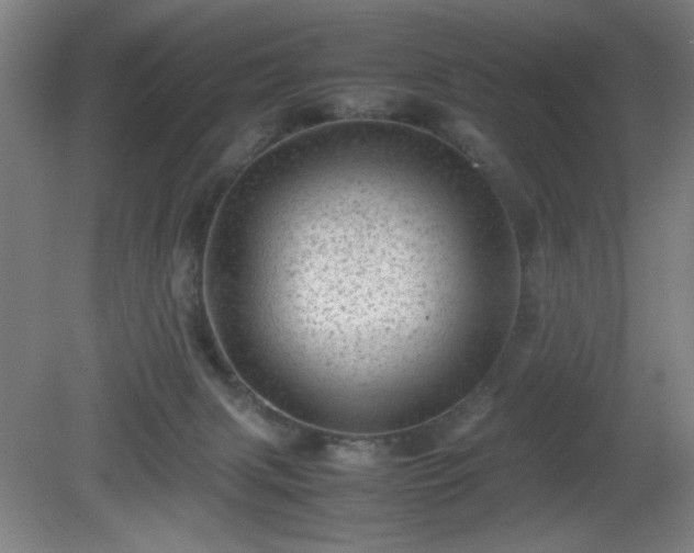 X0000081410079200701191541