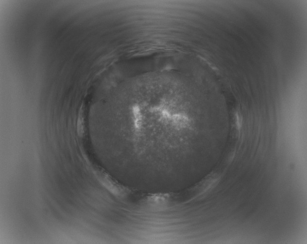 X0000081410080200701191541