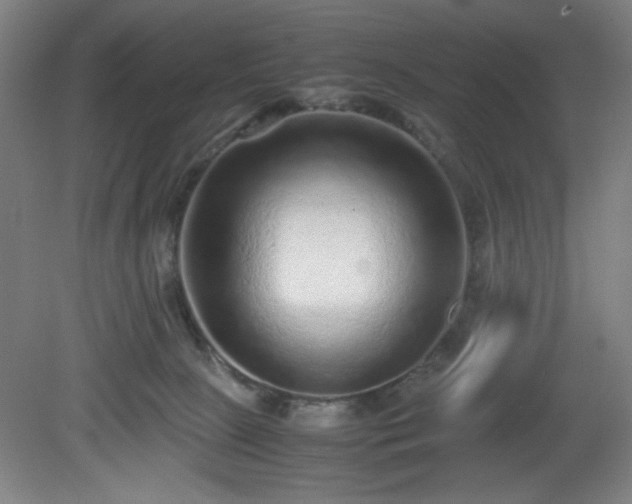 X0000081410081200701191541