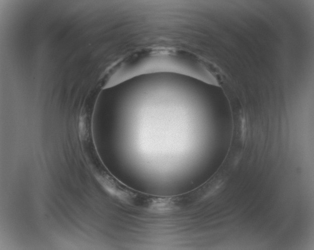 X0000081410088200701191541