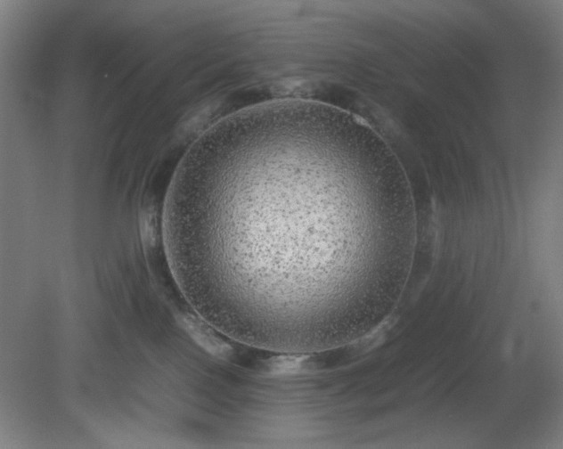 X0000081410090200701191541