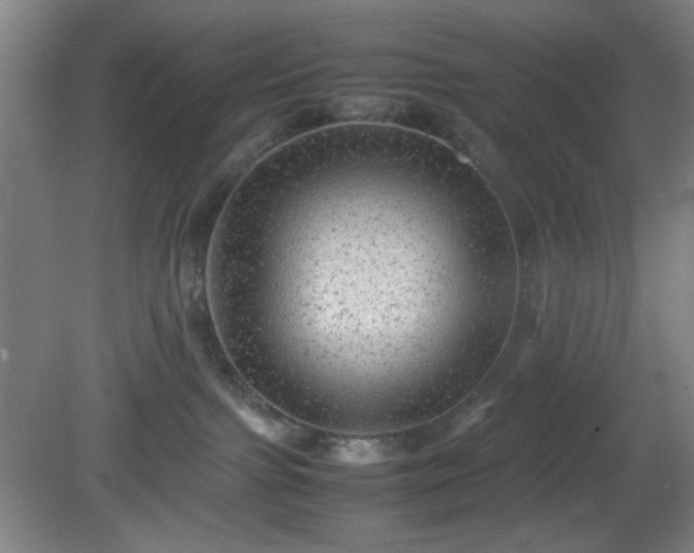 X0000081410091200701191541