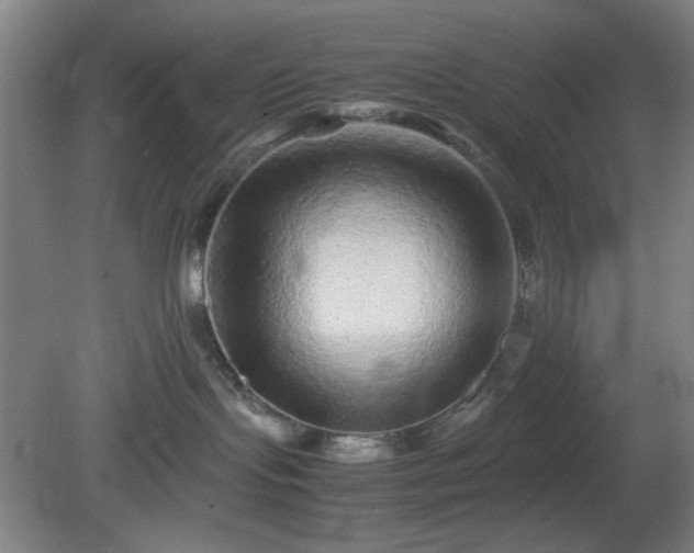 X0000081410095200701191541