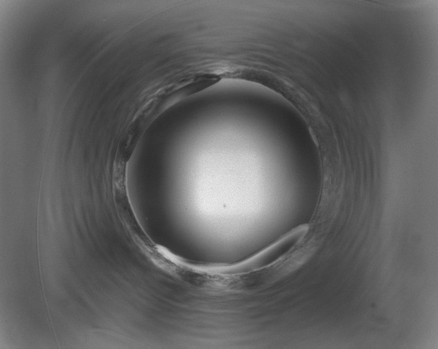 X0000081410096200701191541
