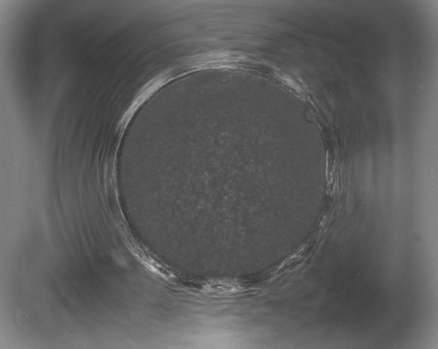X0000081410099200701191540