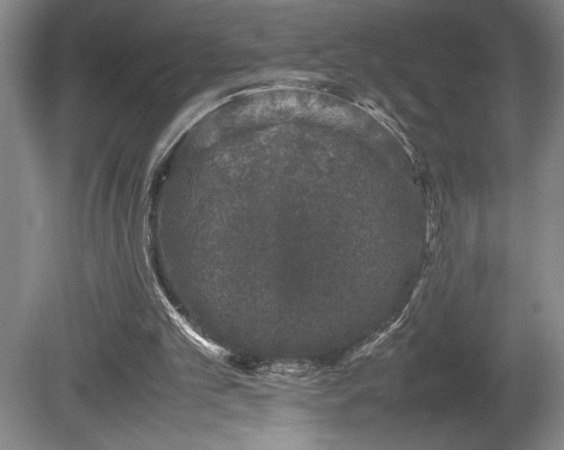 X0000081410101200701191540