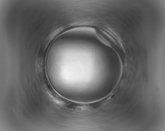 X0000081410107200701191540