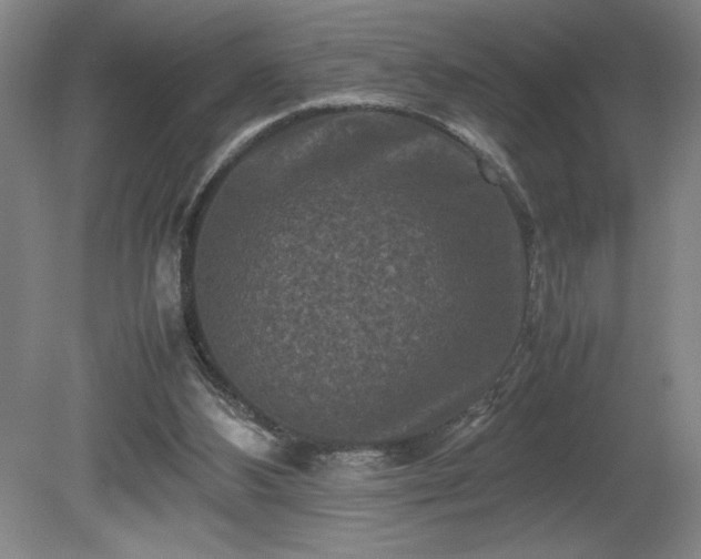 X0000081410108200701191540