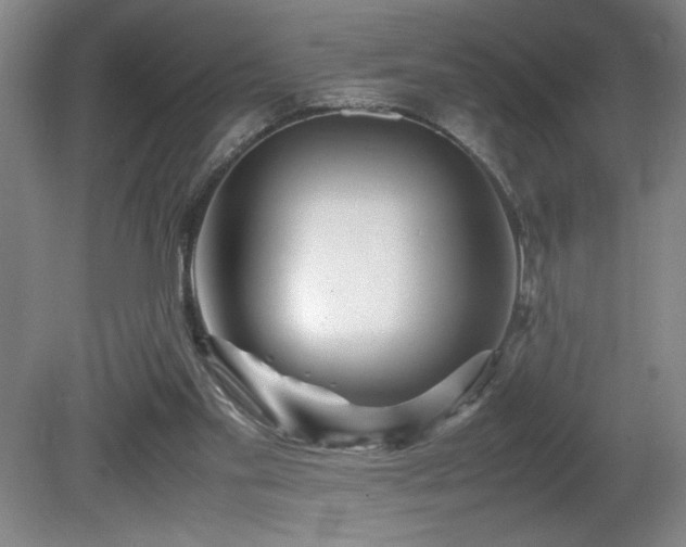 X0000081410109200701191540