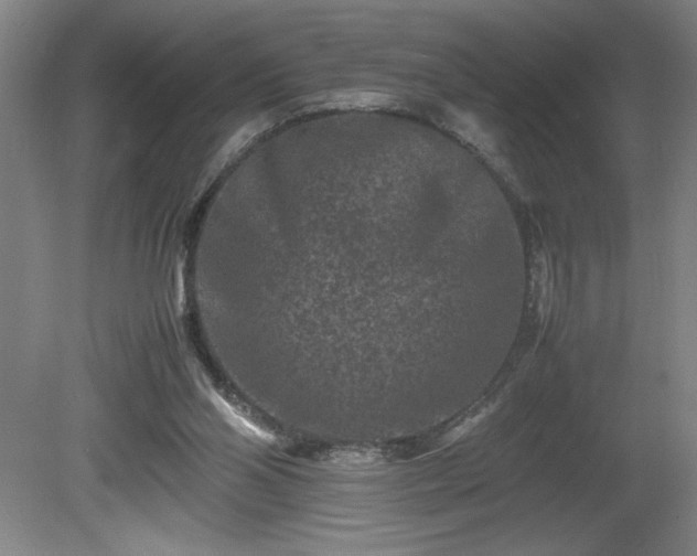 X0000081410110200701191540