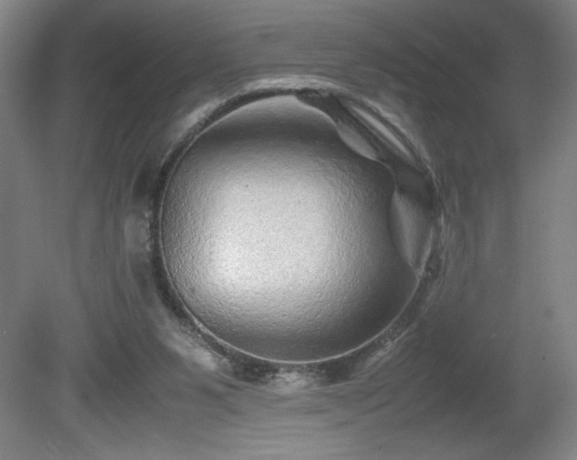 X0000081410111200701191540
