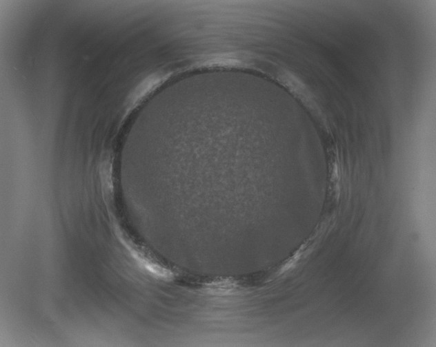 X0000081410112200701191540