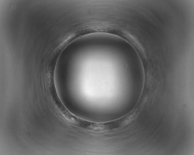X0000081410113200701191540