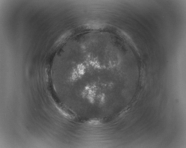 X0000081410114200701191540