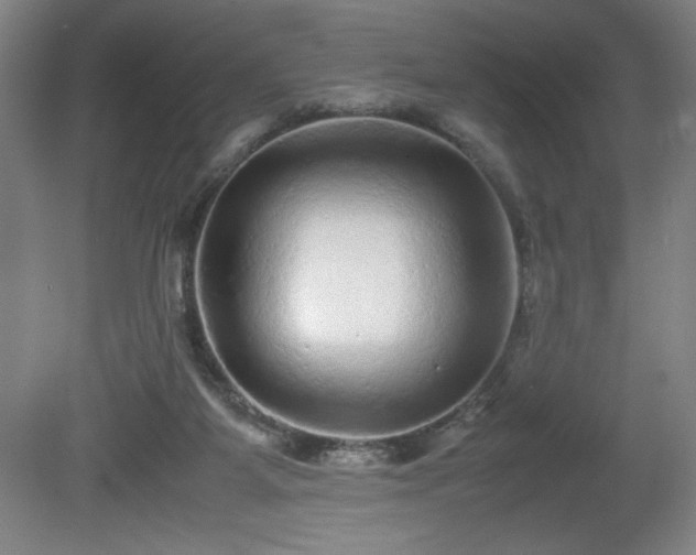 X0000081410115200701191540