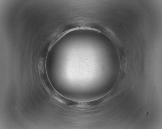 X0000081410121200701191540
