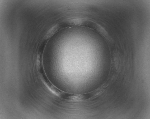 X0000081410122200701191540