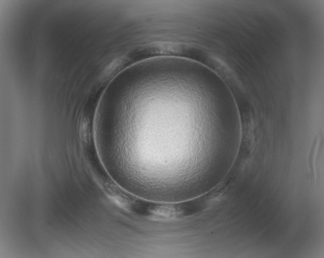 X0000081410123200701191540