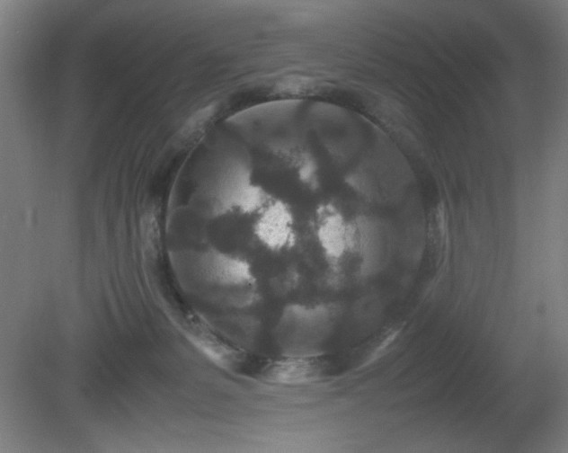X0000081410127200701191540