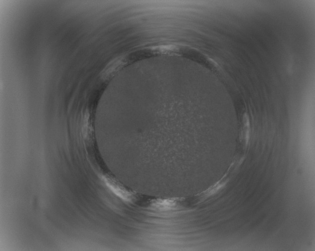 X0000081410140200701191540