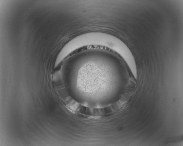 X0000081410143200701191539