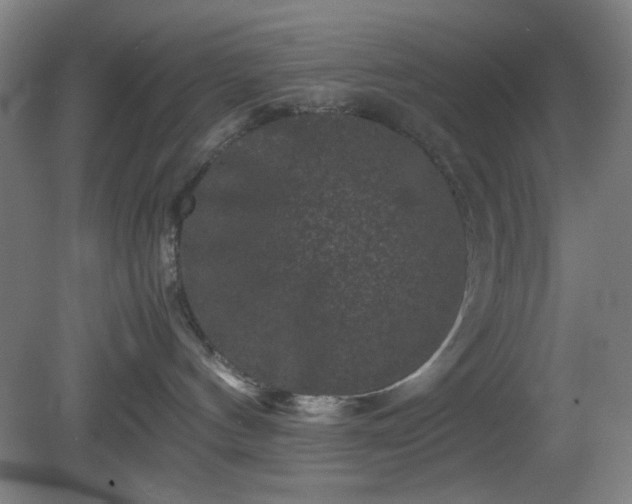 X0000081410144200701191539