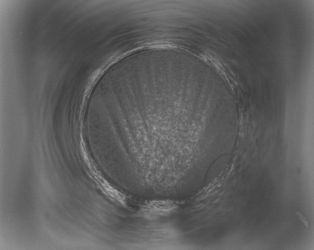 X0000081410145200701191539