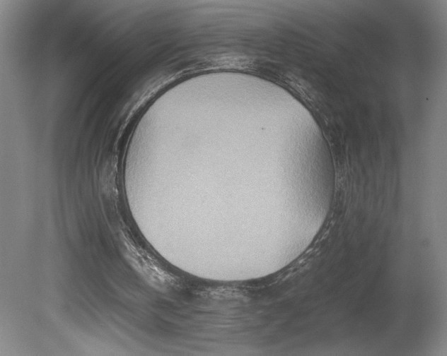 X0000081410146200701191539