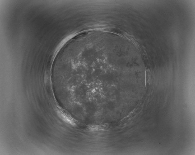 X0000081410147200701191539