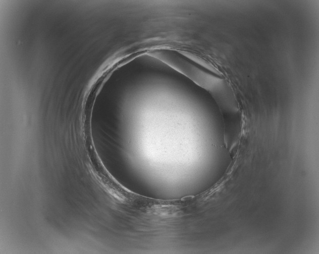 X0000081410150200701191539