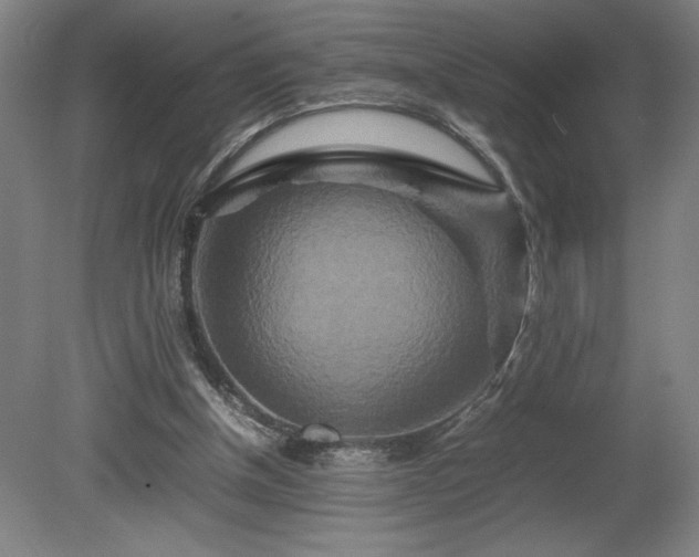 X0000081410154200701191539