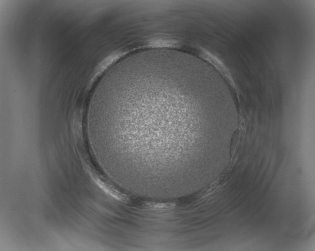 X0000081410155200701191539
