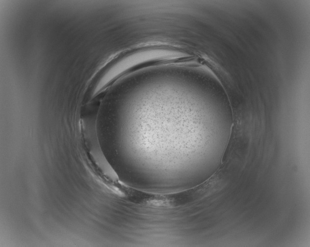 X0000081410160200701191539