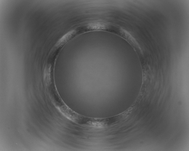 X0000081410163200701191539