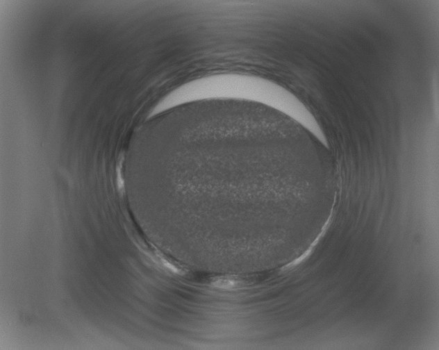 X0000081410174200701191539