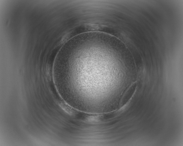 X0000081410178200701191539