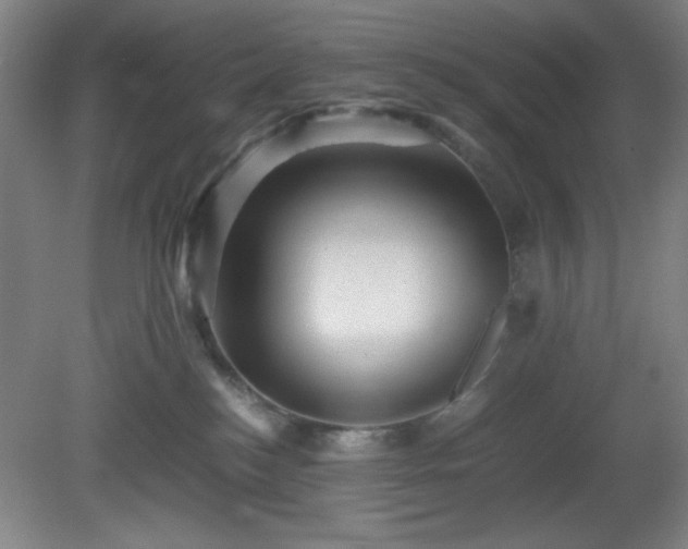 X0000081410184200701191539