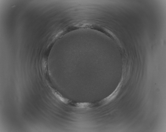 X0000081410192200701191539