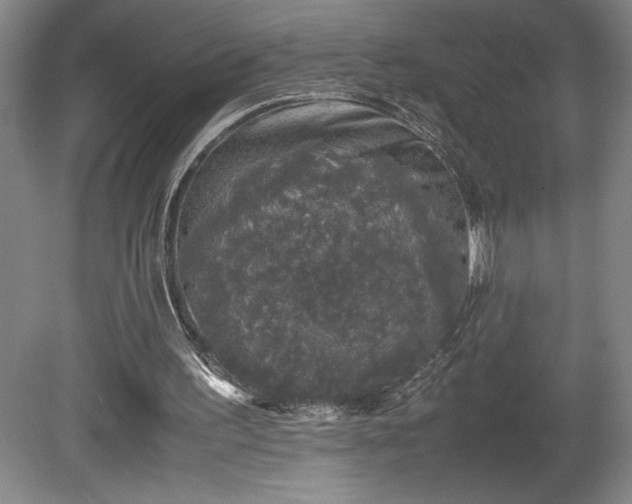 X0000081410195200701191539
