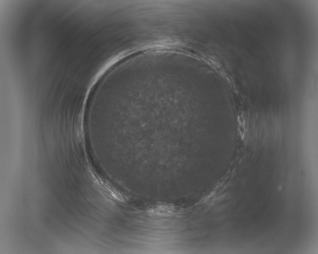X0000081410196200701191539
