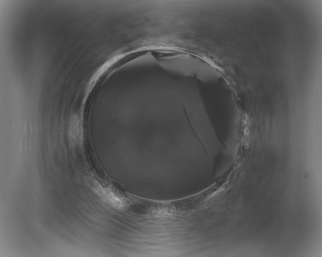X0000081410200200701191539