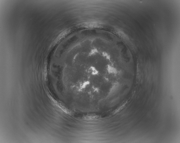X0000081410202200701191538