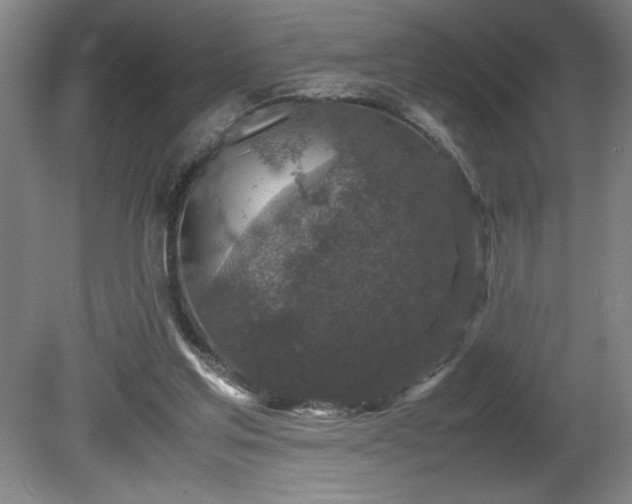 X0000081410205200701191538